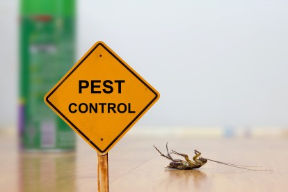 Pest Contol in Regent's Park, NW1. Call Now 020 8166 9746