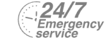 24/7 Emergency Service Pest Control in Regent's Park, NW1. Call Now! 020 8166 9746