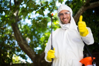 Bug Control, Pest Control in Regent's Park, NW1. Call Now 020 8166 9746